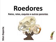 Os roedores